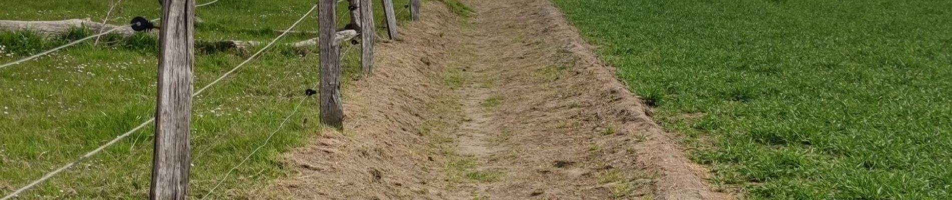 Tocht Stappen Juprelle - Villers Saint Siméon - Lantin - Liers - Villers Saint Siméon  - Photo