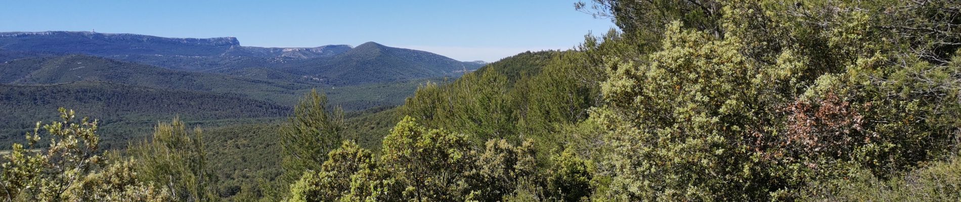 Tour Mountainbike Saint-Zacharie - Au départ de St. Zacharie-Les sources de l'huveaune - Photo