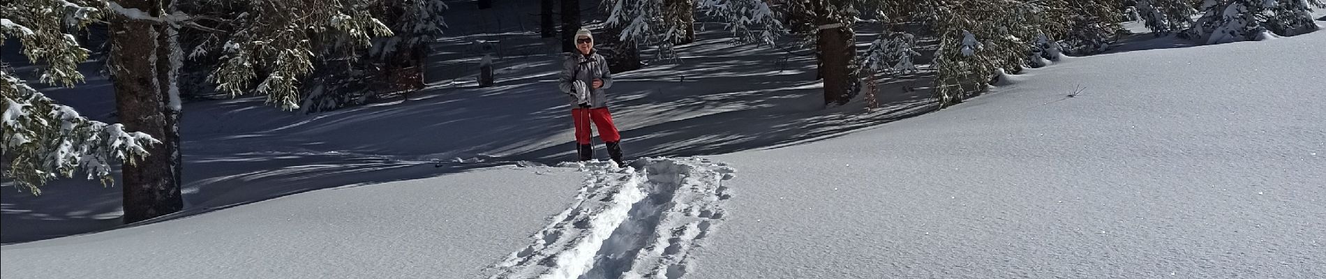 Tour Schneeschuhwandern La Pesse - L'Embossieux - Les Planes - Photo