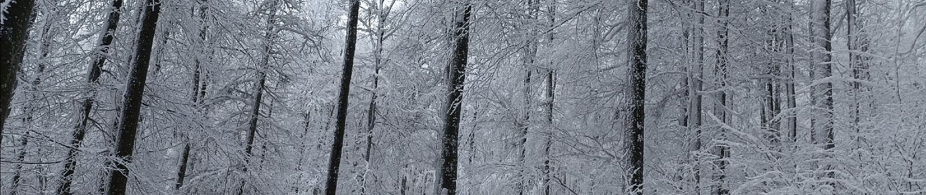 Trail Snowshoes Belmont - cascade de la serva - Photo