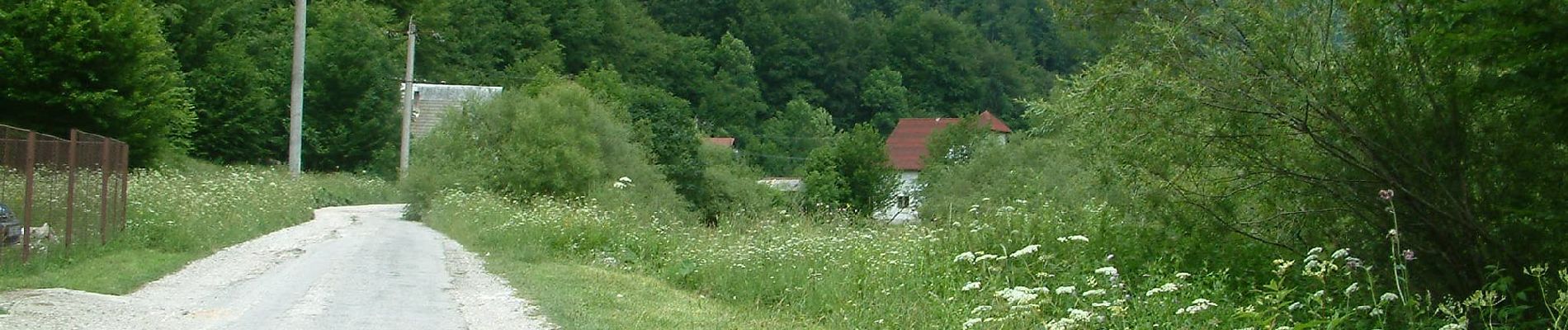 Trail On foot Unknown - Complex turistic Padiș - Complex turistic Boga - sat Pietroasa - Photo