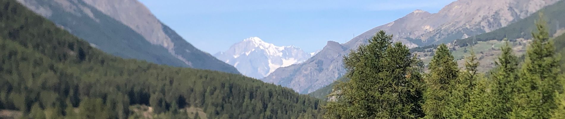 Excursión Marcha nórdica Cogne - Cogne Lilaz - Photo