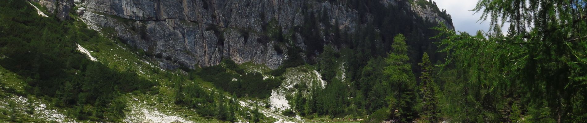 Percorso Marcia Cortina d'Ampezzo - Lago Fédera 25/07/22 - Photo