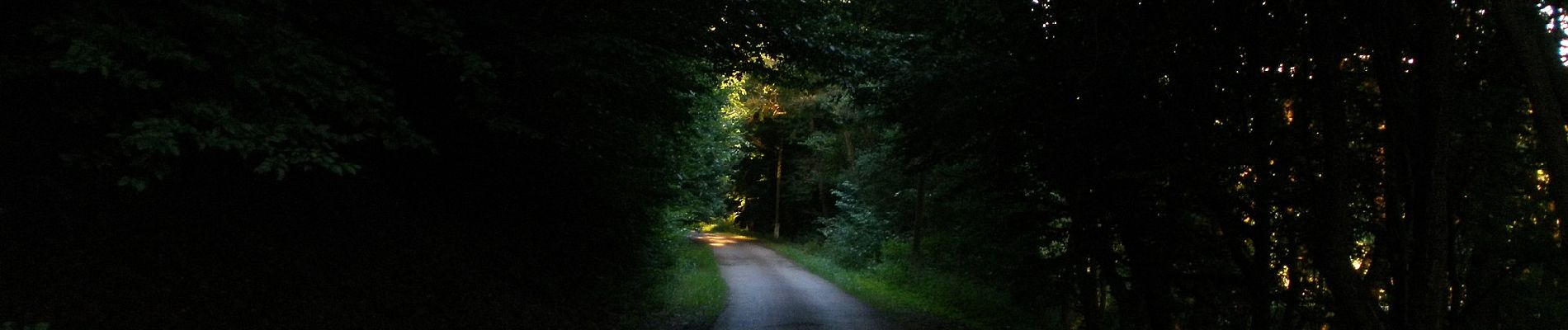 Excursión A pie Dédestapolcsány - Verebec-tető tanösvény - Photo