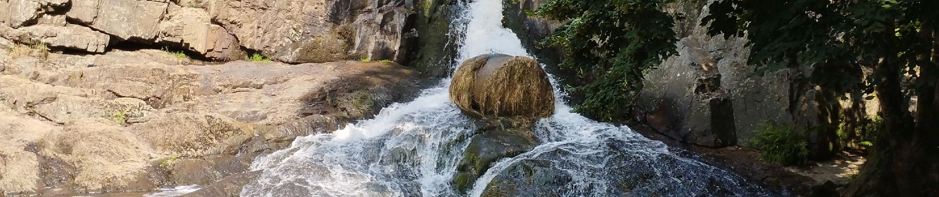 Tour Wandern Romagny Fontenay - Mortain juin 2023 - Photo