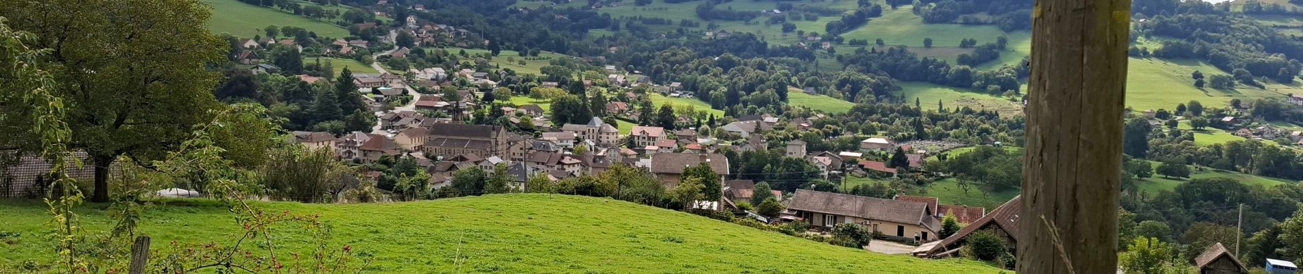 Trail Walking Theys - TOUR DE LA VILLETTE PAR LE PLAN DE LA MALADE - Photo