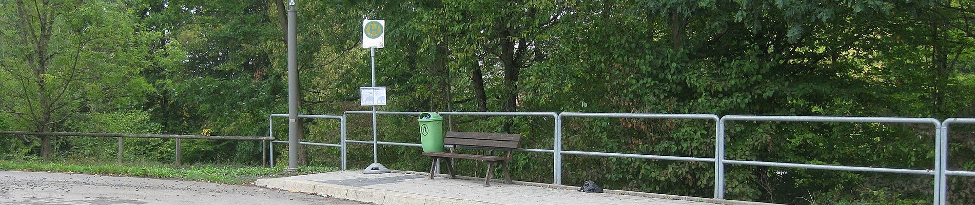 Percorso A piedi Söhrewald - Eiterhagen-Sälzerweg Richtung HeLi - Photo