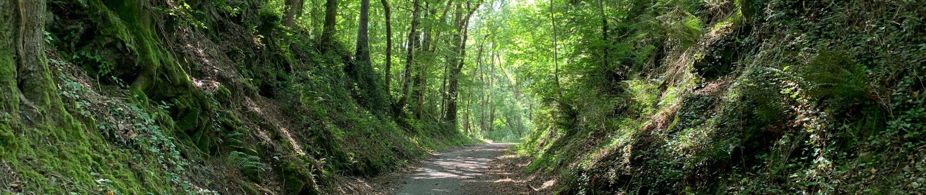 Tocht Stappen Fontrieu - Bout du petit train  - Photo