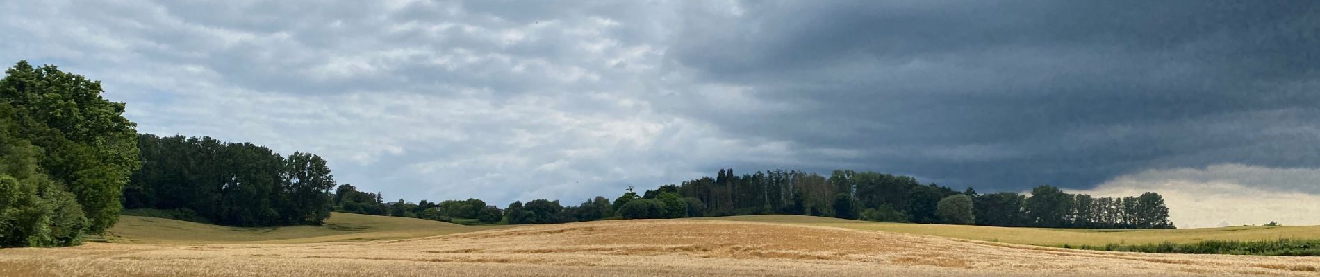 Tocht Stappen Tervuren - Le long du Voer - Photo