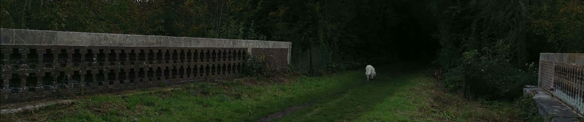 Tour Wandern Saint-Rémy-Boscrocourt - St Remy bosc rocourt eu  - Photo