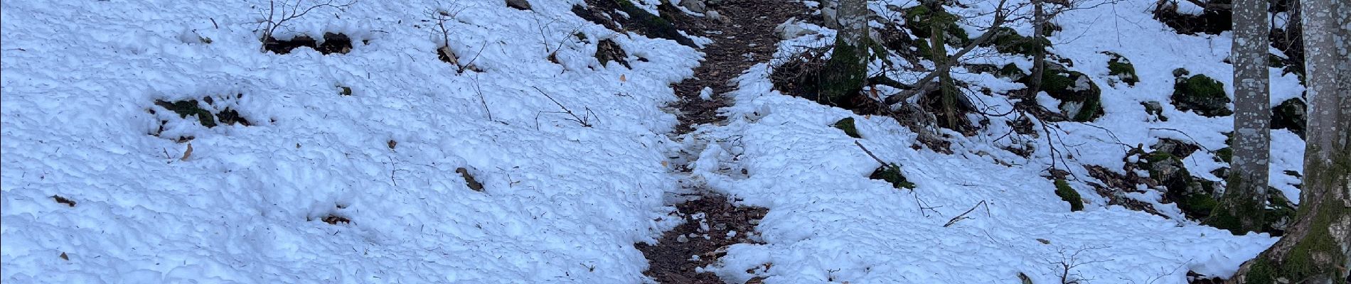 Trail Walking Saint-Ferréol - Roc de Viuz - Photo