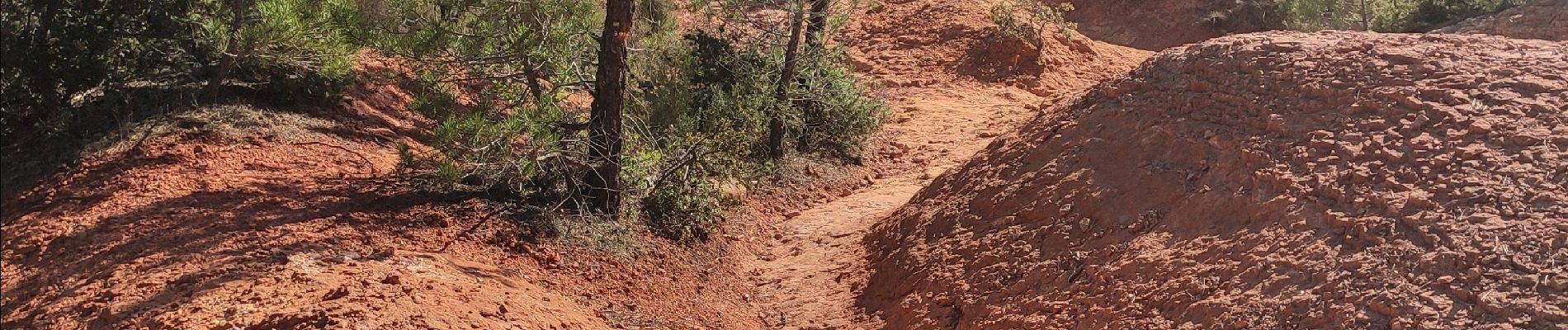 Trail Walking Roussillon - rando 1 Roussillon - Photo