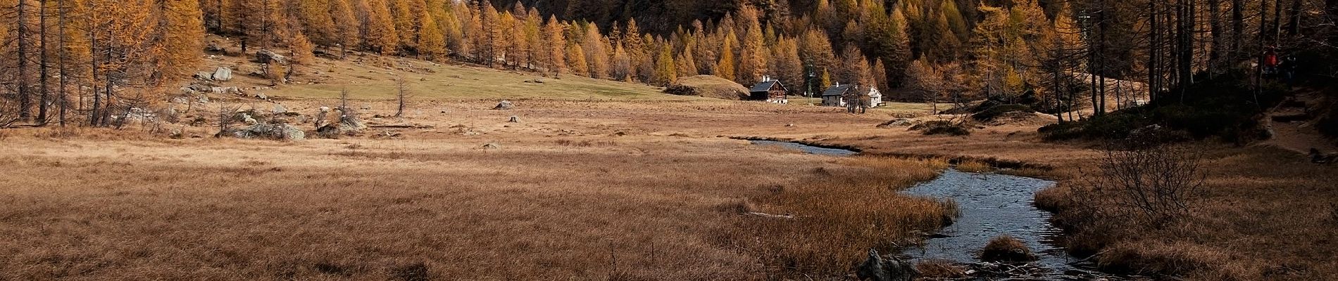 Tour Zu Fuß Premia - IT-H16 - Photo