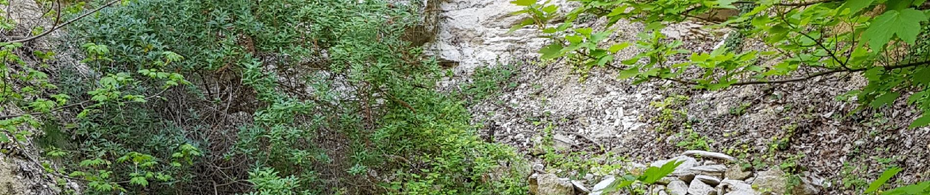 Trail Walking L'Isle-Adam - Lisle Adan Abbaye du Val - Photo