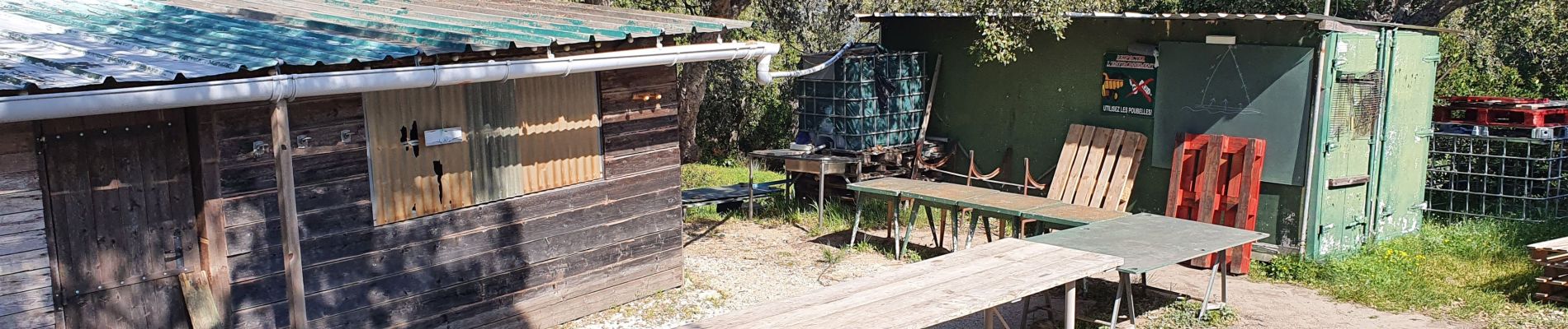 Excursión Senderismo Hyères - la crau bertrands - Photo