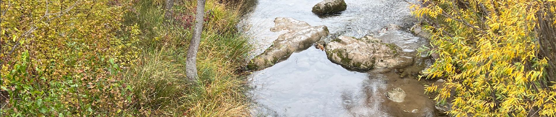 Tour Wandern Tourves - Caramy antoine - Photo