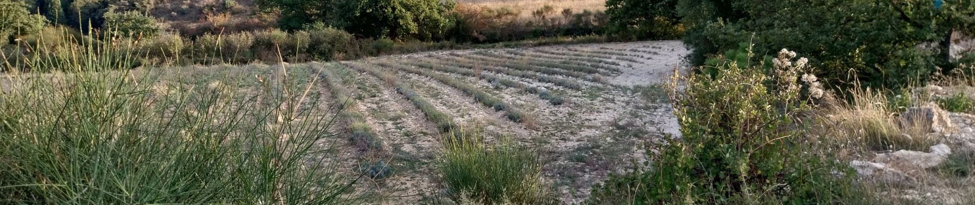 Tour Wandern Roussas - Gym Val - Photo