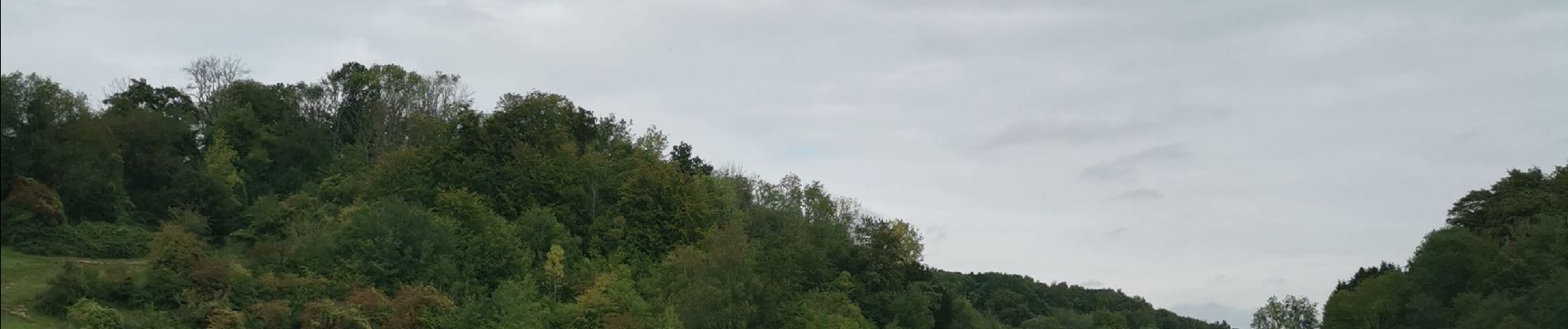 Randonnée Marche Petit-Caux - bois de pumont mahomet - Photo