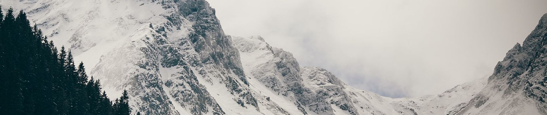 Tour Zu Fuß Unbekannt - Fosta Cabană Urlea - Vf. Urlea - creasta principală - Photo