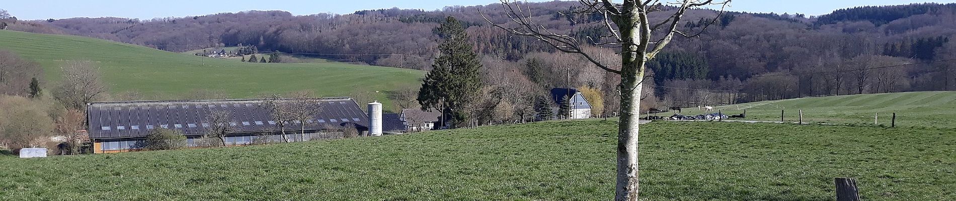 Randonnée A pied Kürten - Denkmalweg Olpe - Photo