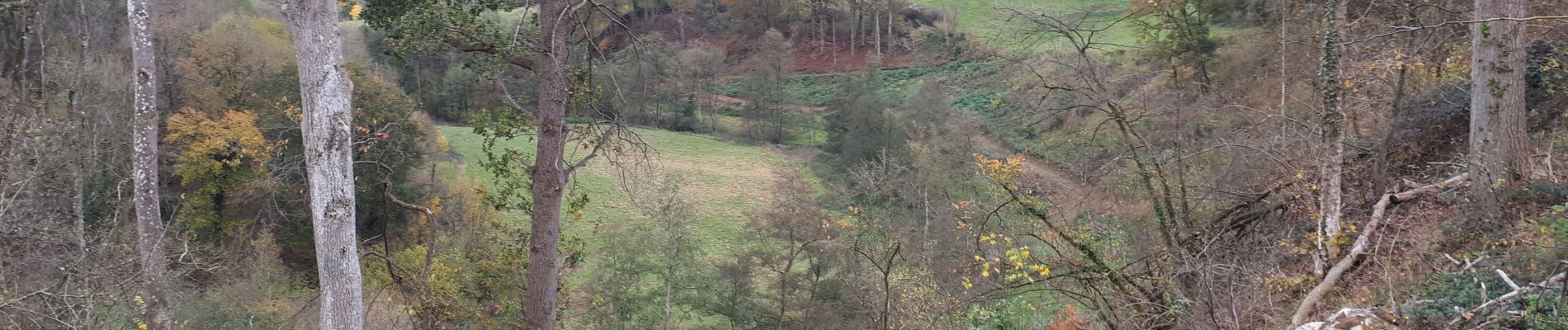 Tour Wandern Clavier - Les Avins - vallée du Hoyoux - Photo