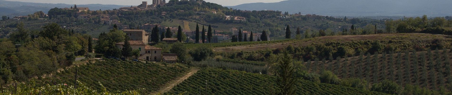 Percorso A piedi San Gimignano - Dolce campagna, antiche mura 18 - Photo