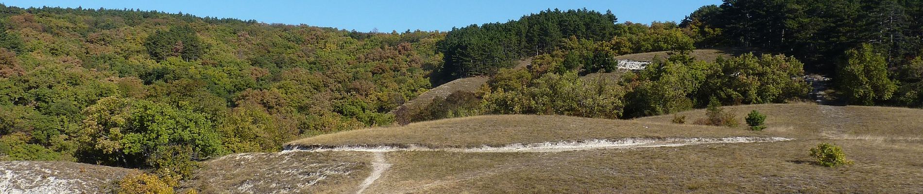 Randonnée A pied Budakeszi - Z+ (Normafa - Budakeszi - Fekete-hegyek, tisztás) - Photo