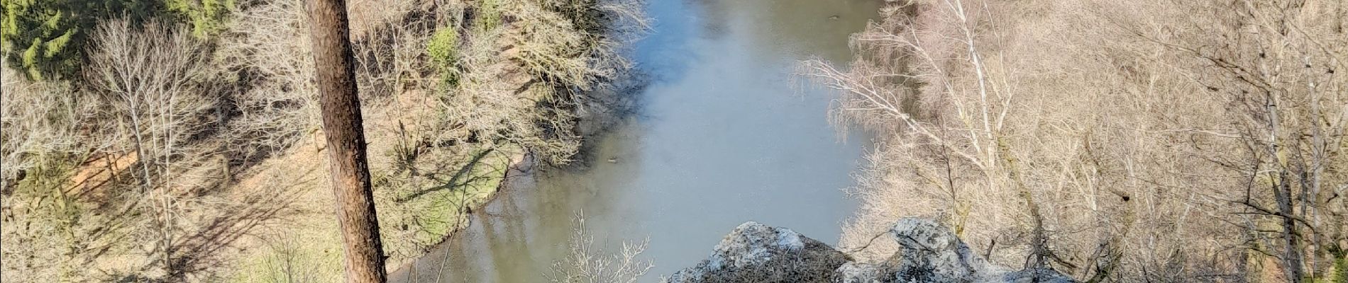 Tocht Stappen Florenville - Marche ADEPS Chassepierre - Photo