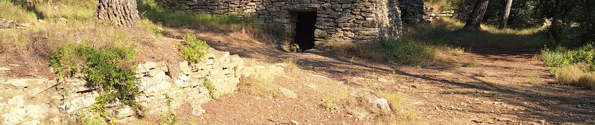 Tocht Stappen Cornillon-Confoux - cornichon  confoux - Photo