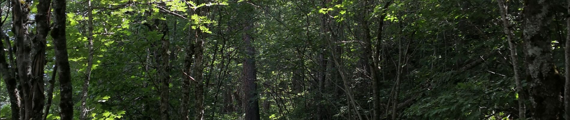 Trail Walking Puy-Saint-Vincent - Le Villaret La combe noire - Photo