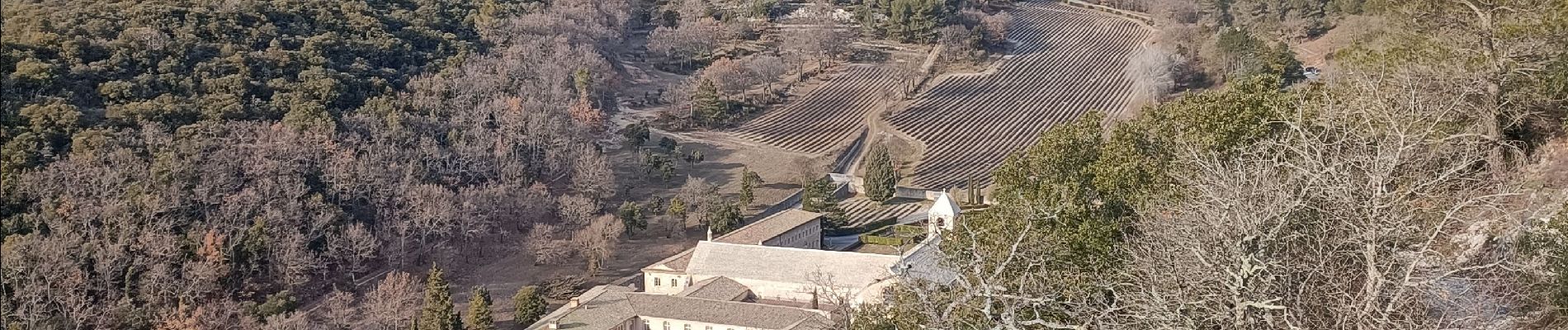 Tour Wandern Gordes - Sénanque. les trois thermes - Photo