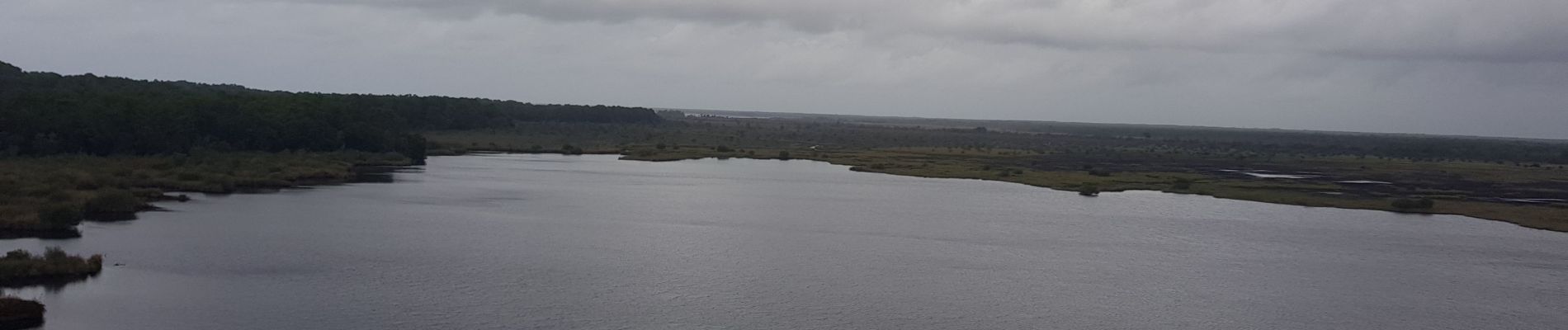 Randonnée Marche Lacanau - casseau - Photo