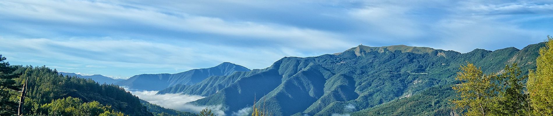 Tocht Te voet Brallo di Pregola - Sentiero della Panoramica - Photo