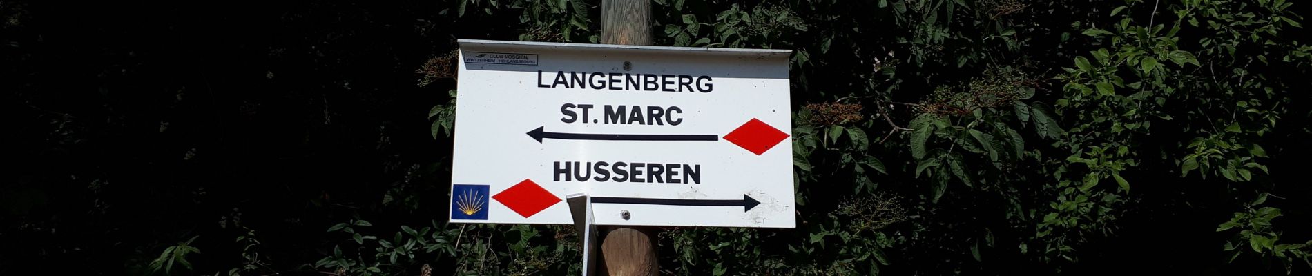 Tour Wandern Vöklingshofen - abbaye Marbach boucle par col Hasstatt - Photo