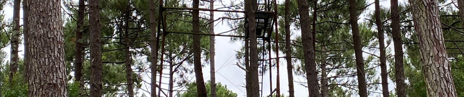 Tocht Stappen Biscarrosse - Randonnée le vivier - Photo