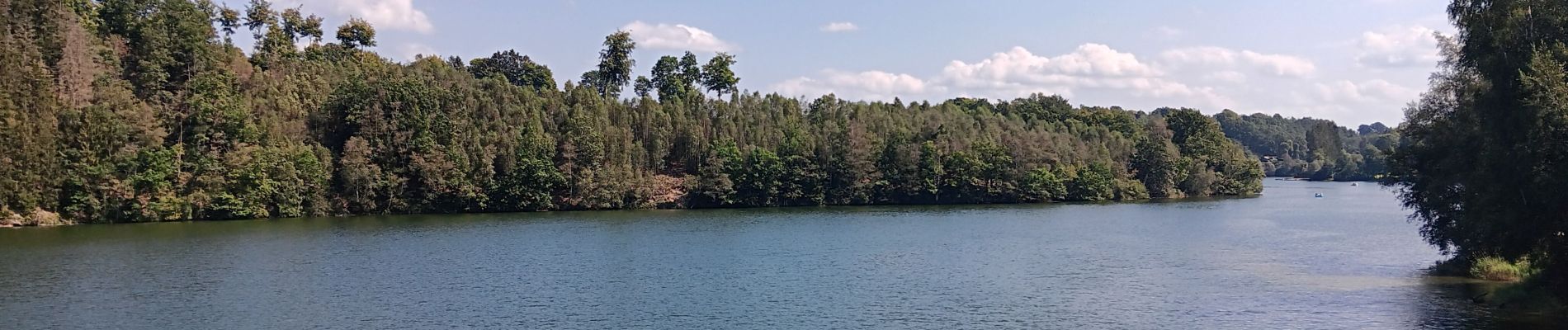 Tour Wandern Weismes - tour du lac, pont - barrage - pont  - Photo