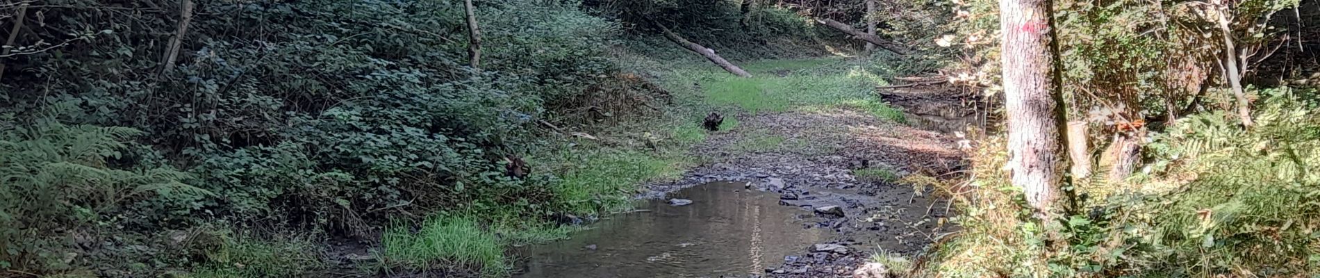 Tocht Mountainbike Florennes - Flavion - Hastière en passant par la vallée de la Hermeton - Photo