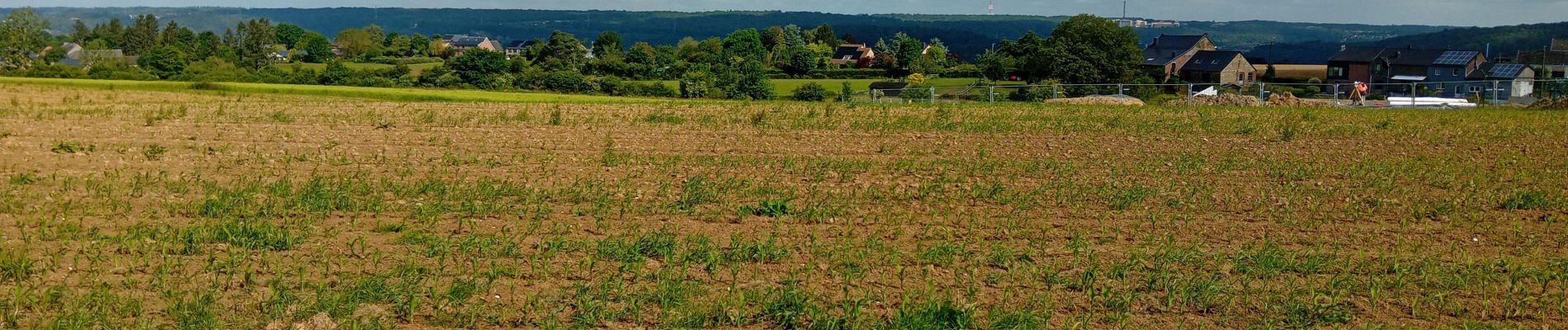 Randonnée Marche Esneux - fontin reco - Photo