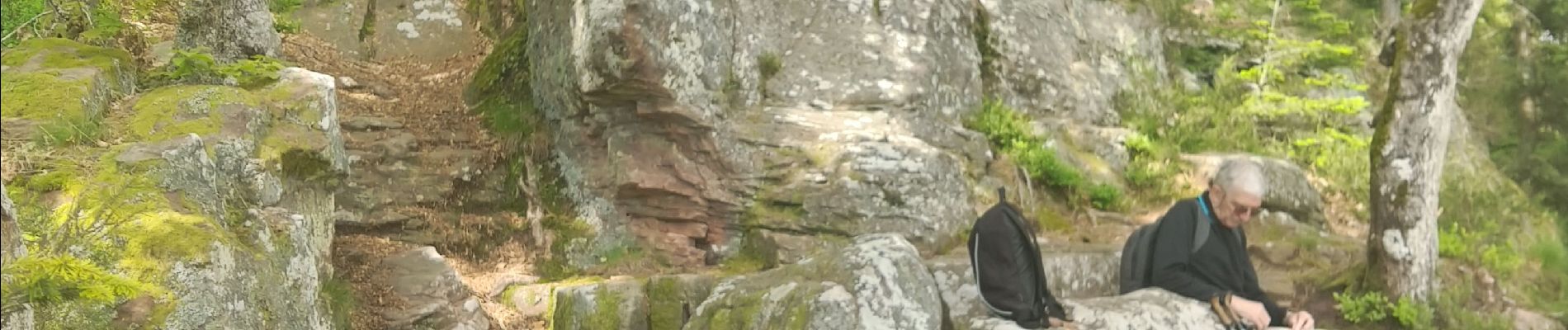 Randonnée Marche Saulcy-sur-Meurthe - Massif du KEMBERG - Photo