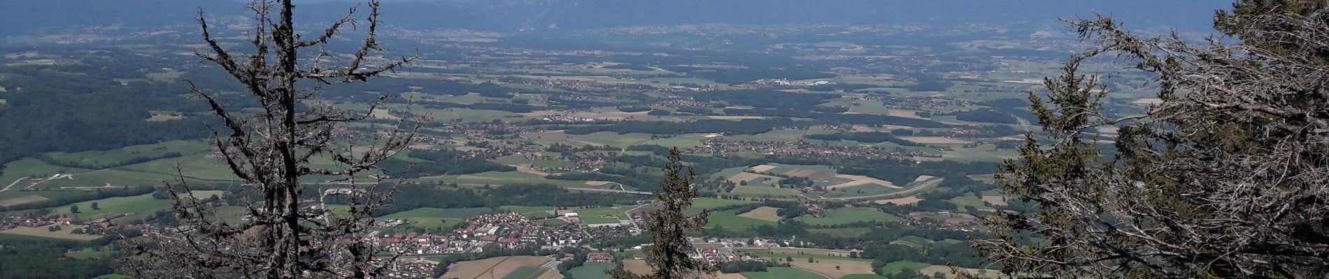 Tour Wandern Cruseilles - saleve 21 05 20 - Photo