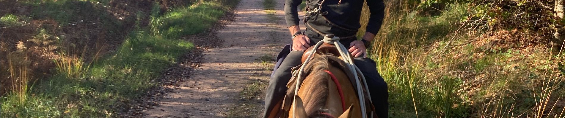 Trail Horseback riding Métairies-Saint-Quirin - joyeux Tivio st quirin chapelle ste claire kubolot  - Photo