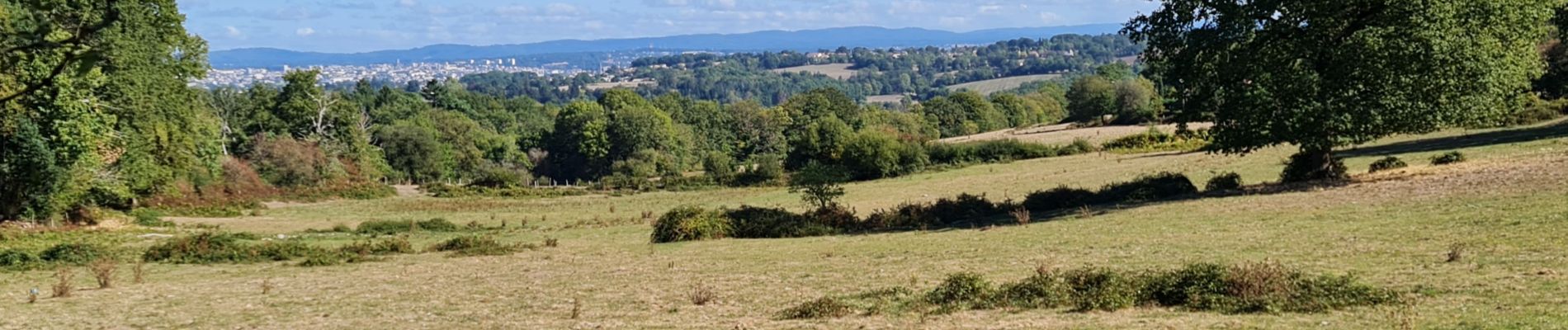 Tocht Stappen Jourgnac - puy de banneix  - Photo