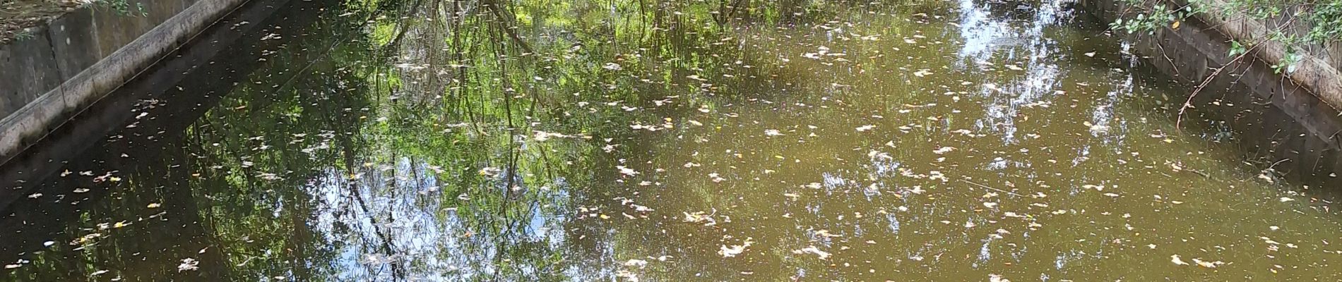 Trail Walking Le Castellet - vallon des anciens résistant  - Photo