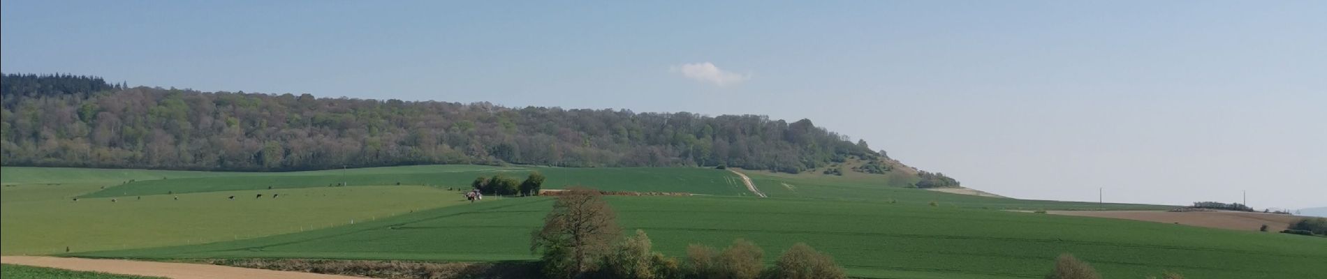 Tocht Stappen Mesnières-en-Bray - mesnieres croixdalle - Photo