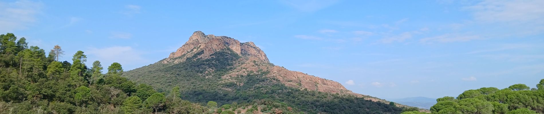 Trail Walking Roquebrune-sur-Argens - Circuit de l'eau Les Cavalières, La Maurette - Photo