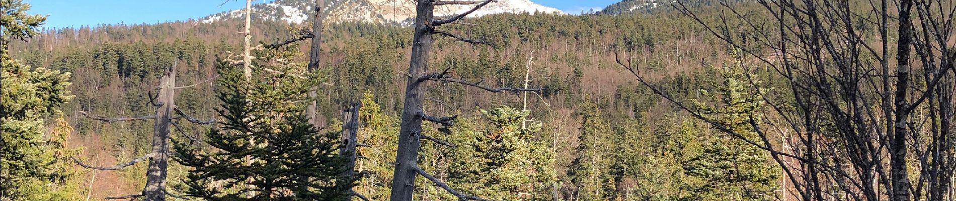 Tour Wandern Corrençon-en-Vercors - Correncon 9-11-21 - Photo