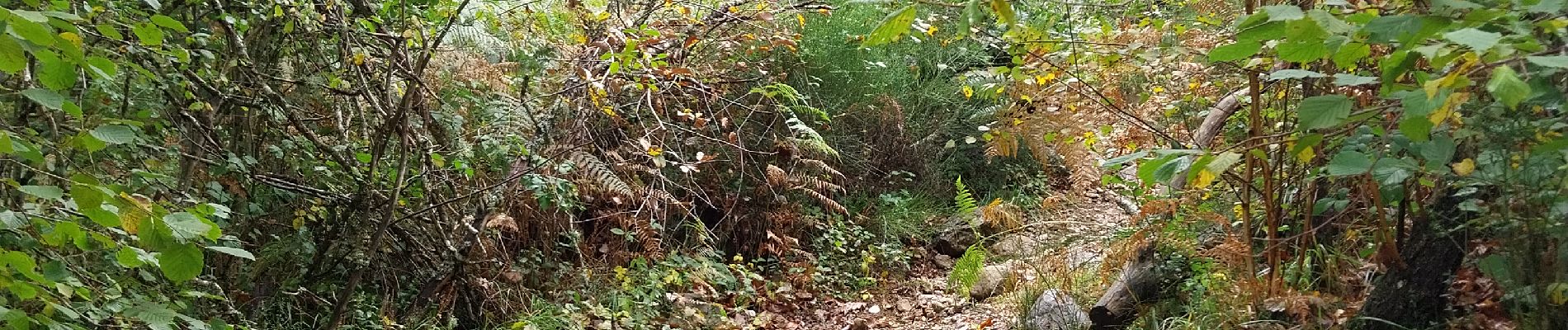 Tocht Stappen Cros - Pont du diable 3 - Photo