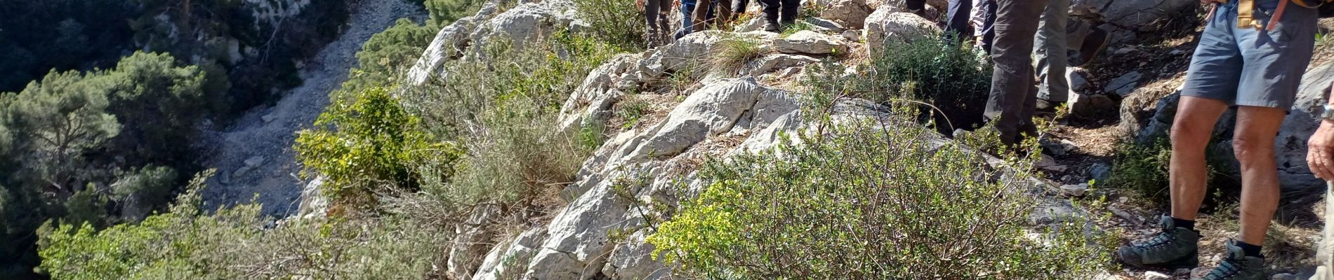 Tour Wandern Toulon - Mont faron 83 rando et petite cheminée  - Photo