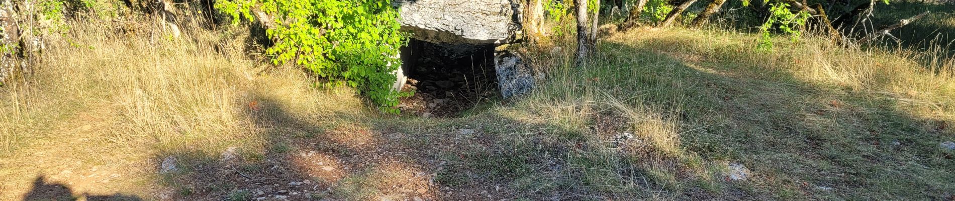 Randonnée Marche Varaire - 9 - Varaire : les dolmens - Photo