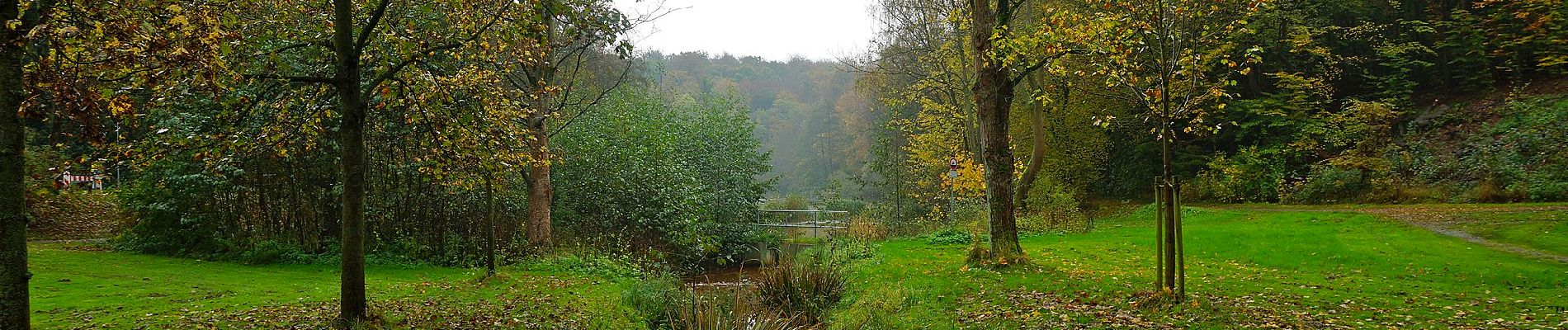 Randonnée A pied Bad Helmstedt - Lappwald Rundwanderweg 4 - Photo